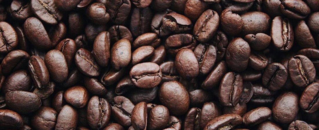 What are the key differences between Arabica and Robusta coffee beans?